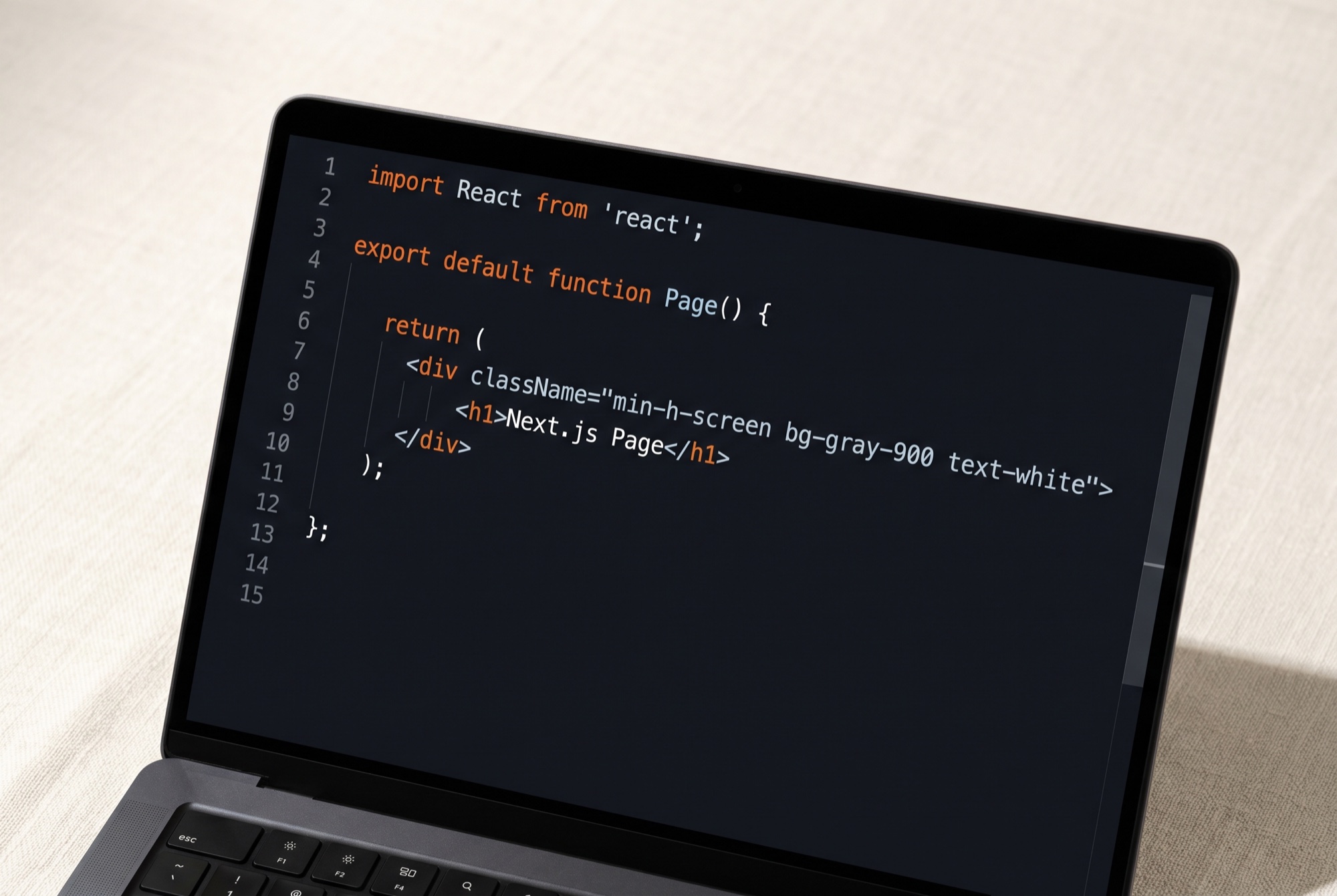 Software development